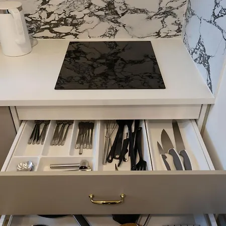 Swidnicka Center With Opera View Properunit Appartamento Breslavia